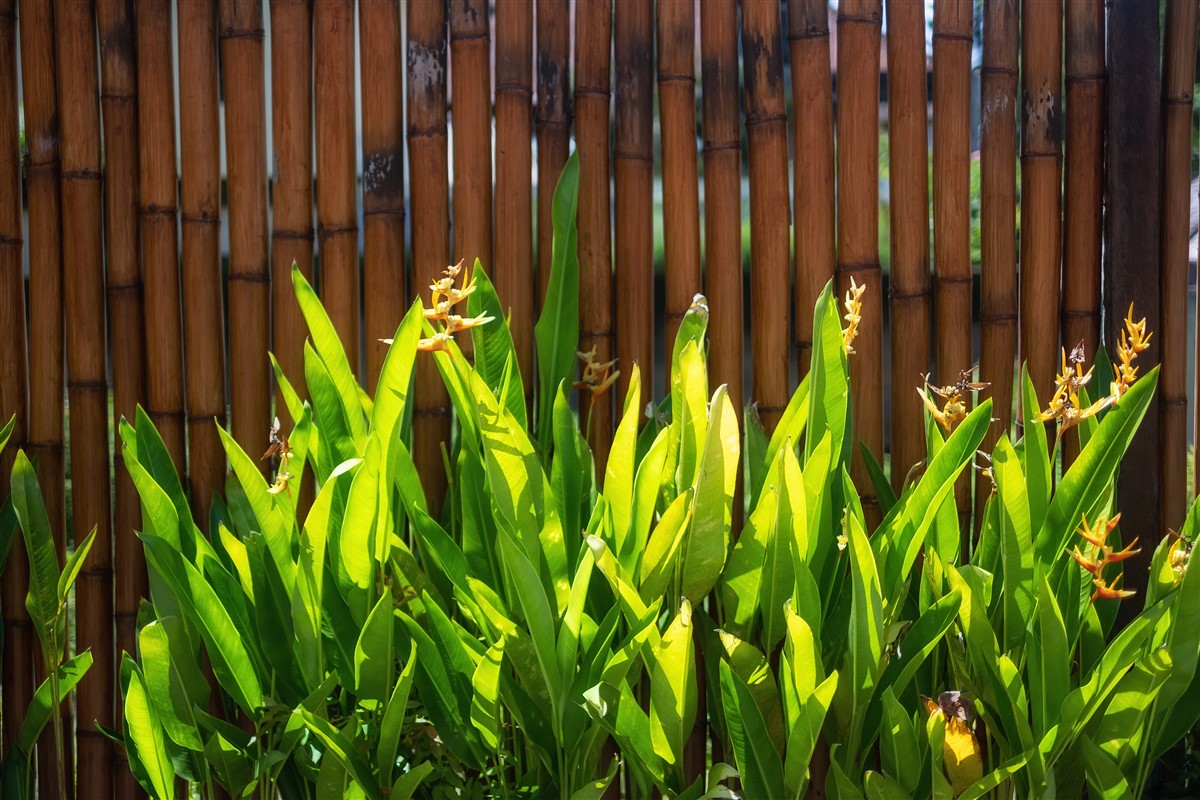 Création de clôtures d'un jardin