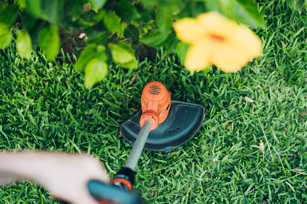 debroussailleuse pour un jardin rural