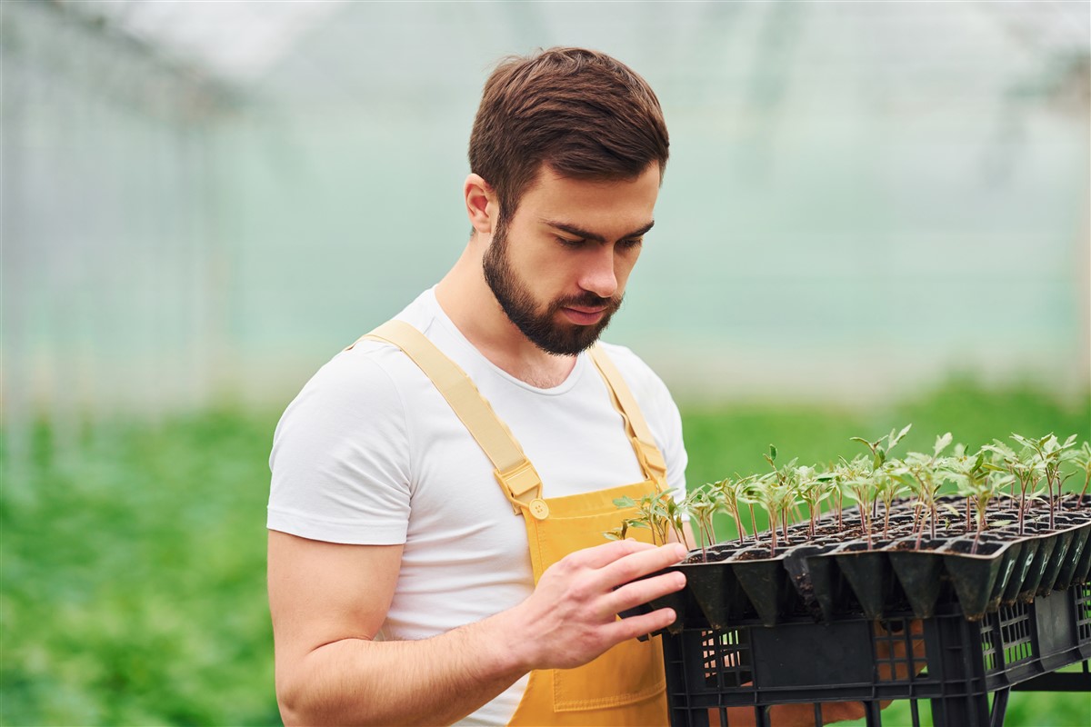 passionnés d'arboriculture