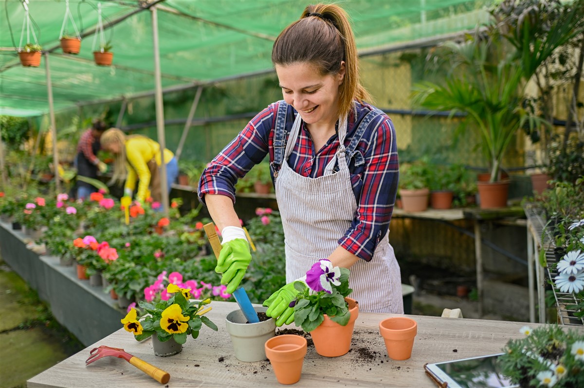 plantation jardinier